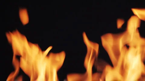 Fire flames on black background Vídeo Stock 5298356