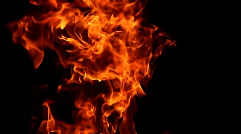 Fire flames on black background Stock Footage 34398791