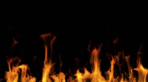 Fire flames on a black background Video stock 50171713