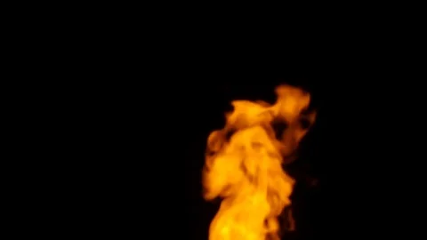 Fire flames on black background Stock Footage 82631798