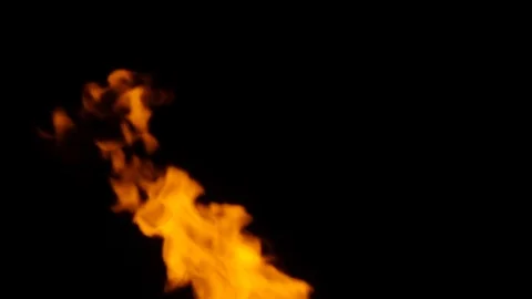 Fire flames on black background Stock Footage 82632040