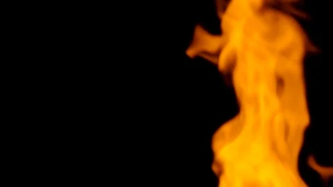 Fire flames on black background Stock Footage 82633856