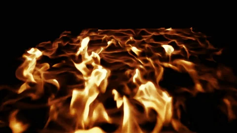Fire flames on black background Stock Footage 104816010