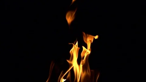 Fire flames on black background Video stock 105899083