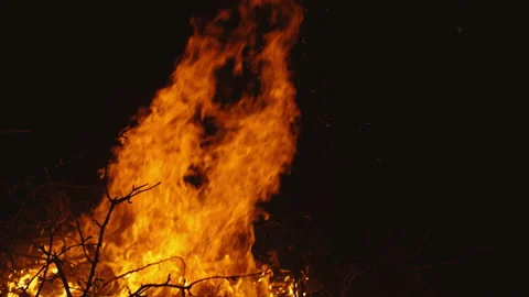 Fire flames black background Stock Footage 107782493
