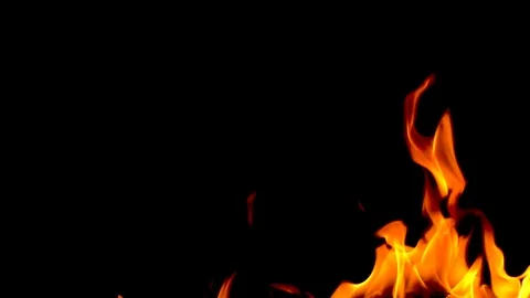 Fire flames on black background. Video stock 120121087