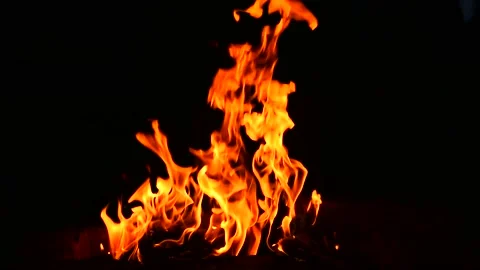 Fire flames on black background Stock Footage 157483485