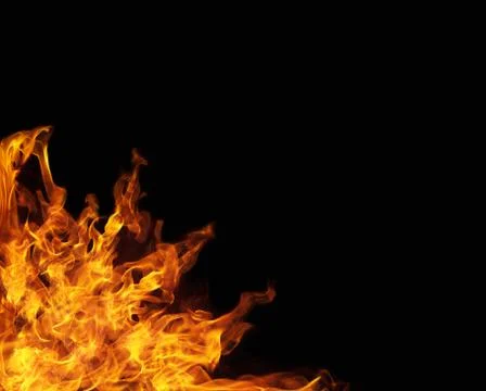 Fire flames on black background 스톡 일러스트