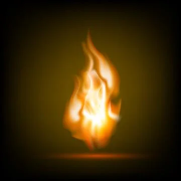 Fire flames on a black background Stock Illustration