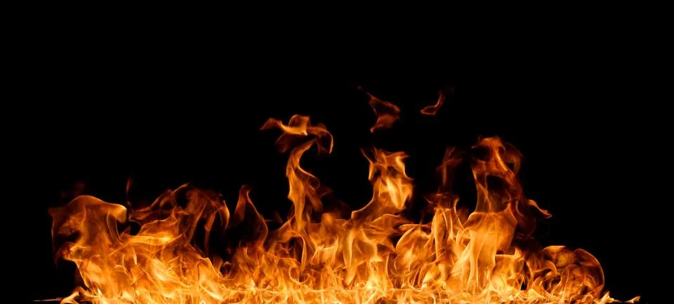 Fire flames on black background. 스톡 일러스트