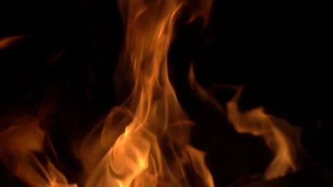 Fire flames on black background isolated. Burning gas or gasoline Stock Footage 143561031