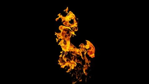 Fire flames on black background isolated. Burning gas or gasoline burns with  Stock Photos