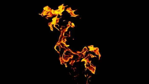 Fire flames on black background isolated. Burning gas or gasoline burns with Stock Photos
