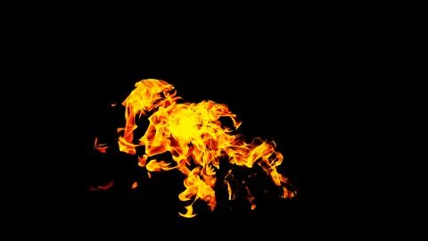 Fire flames on black background isolated. Burning gas or gasoline burns with Stock Photos