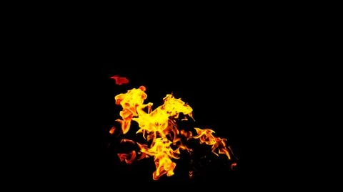 Fire flames on black background isolated. Burning gas or gasoline burns with  Foto stock