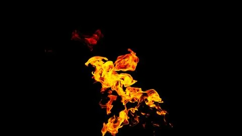 Fire flames on black background isolated. Burning gas or gasoline burns with  Stock Photos