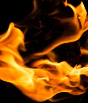 Fire flames on a black background Stock Photos