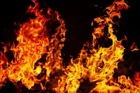 Fire flames on black background Foto stock