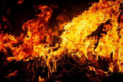 Fire flames on black background Stock Photos
