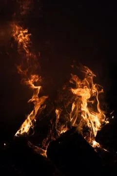 Fire flames on a black background Stock Photos