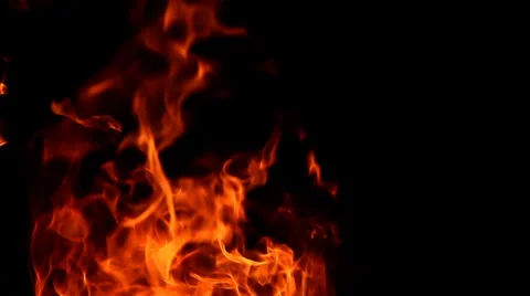 Fire flames on black background, Slow Motion Stock Footage 34399292