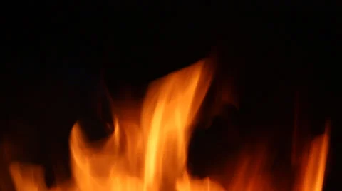 Fire flames on black close up Stock Footage 33800921