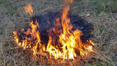 Fire flames. Bonfire flame. Bonfire lit in nature Stock Photos