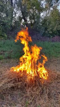 Fire flames. Bonfire flame. Bonfire lit in nature Stock Photos