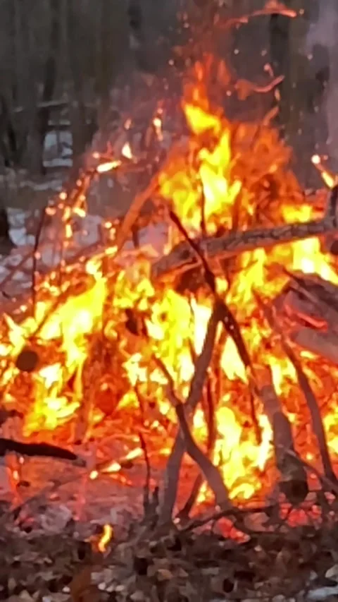 Fire flames burn super slow mo vertical Stock Footage 263843464