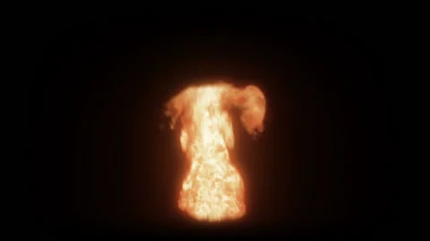 Fire Flames Burning Alpha Channel Stock Footage 130315205