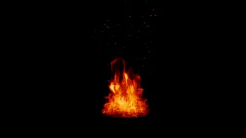 Fire flames burning on a black background. Real fire. Transparent background. Stock Footage 127867563