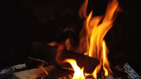 Fire flames of burning camp bonfire. Stock Footage 158914633