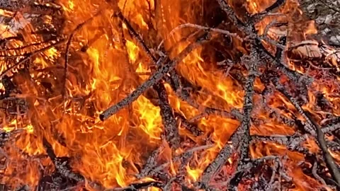 Fire flames burning fills frame, slow motion Stock Footage 301319612
