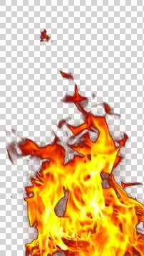 Fire flames burning with red hot sparks on transparent background and textu.. Stock Illustration