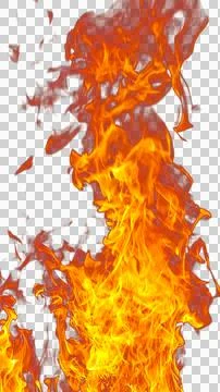 Fire flames burning with red hot sparks on transparent background and textu.. Illustrazione stock