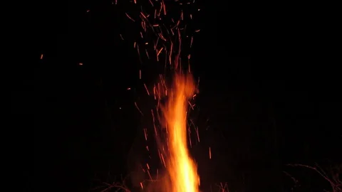 Fire flames from the fire Video stock 129756004