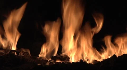 Fire flames Video stock 8830236