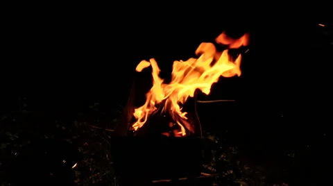 Fire flames Vídeo Stock 43198556