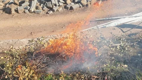 Fire flames Stock Footage 300353724