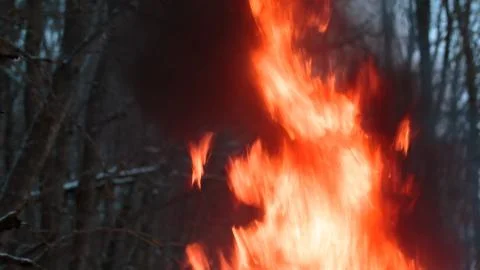 Fire flames forest Stock Photos