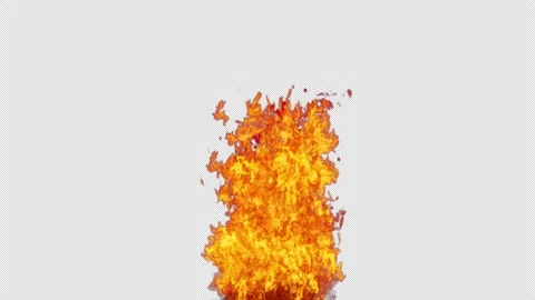 Fire Flames Igniting And Burning - with alpha channel (transparent background) Stock Footage 147361932