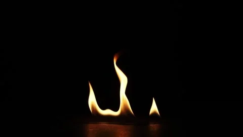 Fire Flames Igniting And Burning. Real flames ignite on a black background. Stock Footage 241679888