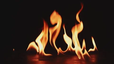 Fire Flames Igniting And Burning. Real flames ignite on a black background. Stock Footage 242280307