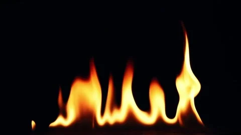 Fire Flames Igniting And Burning. Real flames ignite on a black background. Stock Footage 245569946
