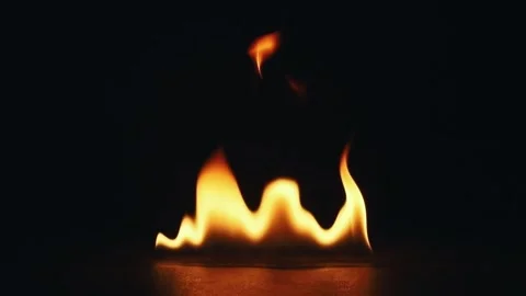 Fire Flames Igniting And Burning. Real flames ignite on a black background. Stock Footage 252516097