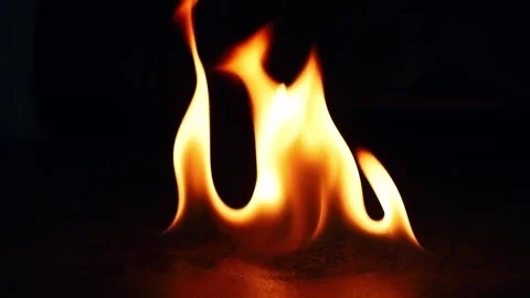 Fire Flames Igniting And Burning. Real flames ignite on a black background. Stock Footage 273239414