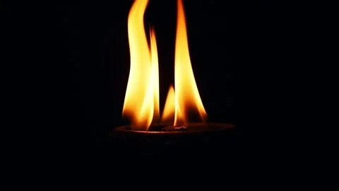 Fire Flames Igniting And Burning. Real flames ignite on a black background. Stock Footage 280192415
