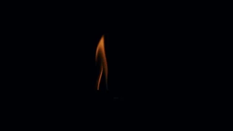 Fire Flames Igniting And Burning. Real flames ignite on a black background. Stock Footage 280192837