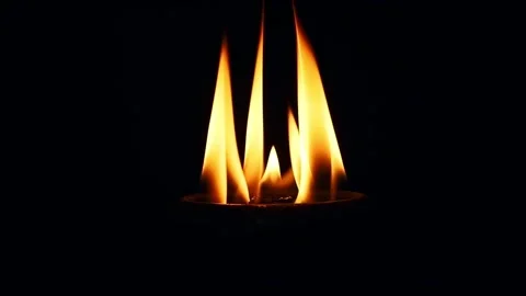 Fire Flames Igniting And Burning. Real flames ignite on a black background. Stock Footage 304274967