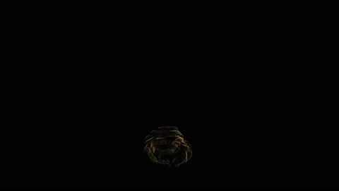 Fire Flames Igniting. A line of real flames ignite on a black background. Stock Footage 133813489